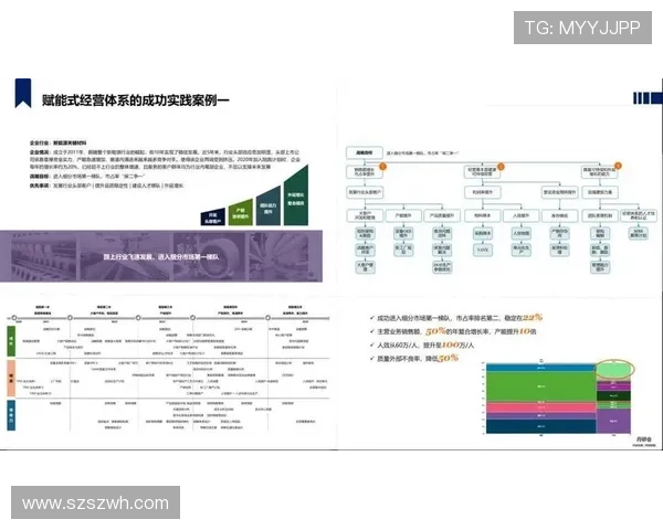 企业家如何通过创新思维与战略布局推动企业可持续发展与行业领导力打造