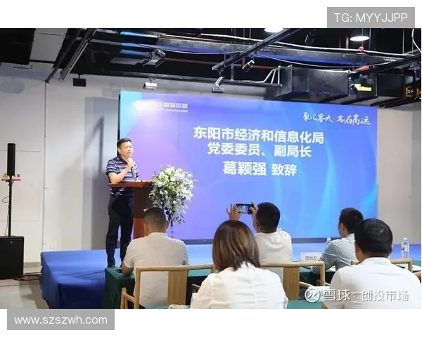 金华企业家创新发展之路:推动地方经济转型与产业升级的实践与思考